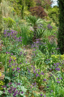 /album/philemons-garten-9-mai-2026/philemons-garten-09-05-2026-13-jpg/